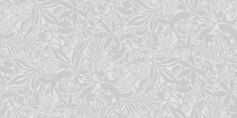 Обои Borastapeter Wonderland