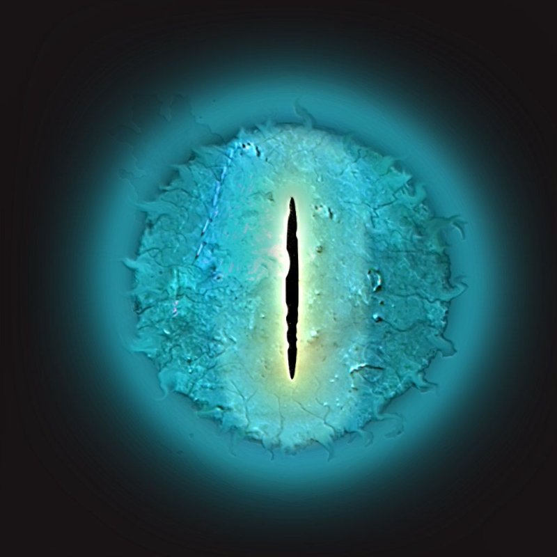 Зрачок глаза дракона