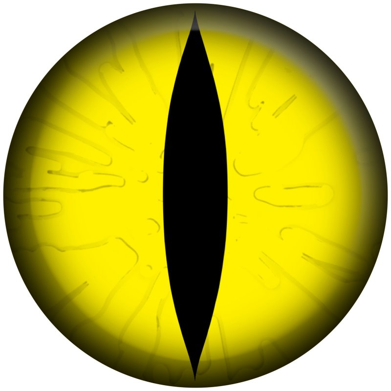 Зрачок дракона