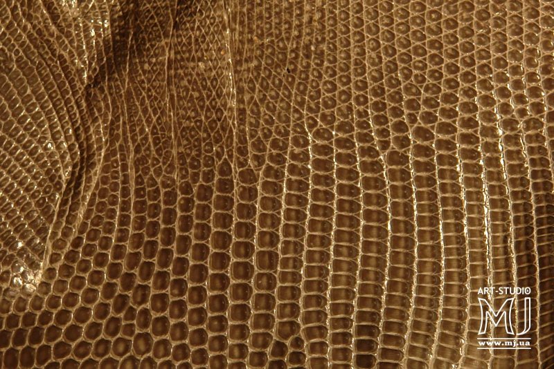 Кожа игуаны