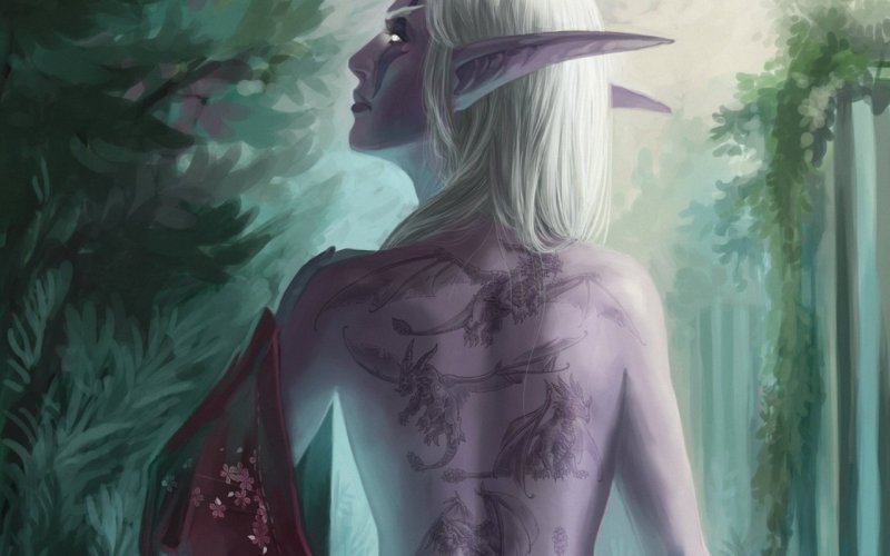 Драгон эйдж Эльф блондин