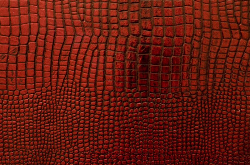 Кожа ящерицы