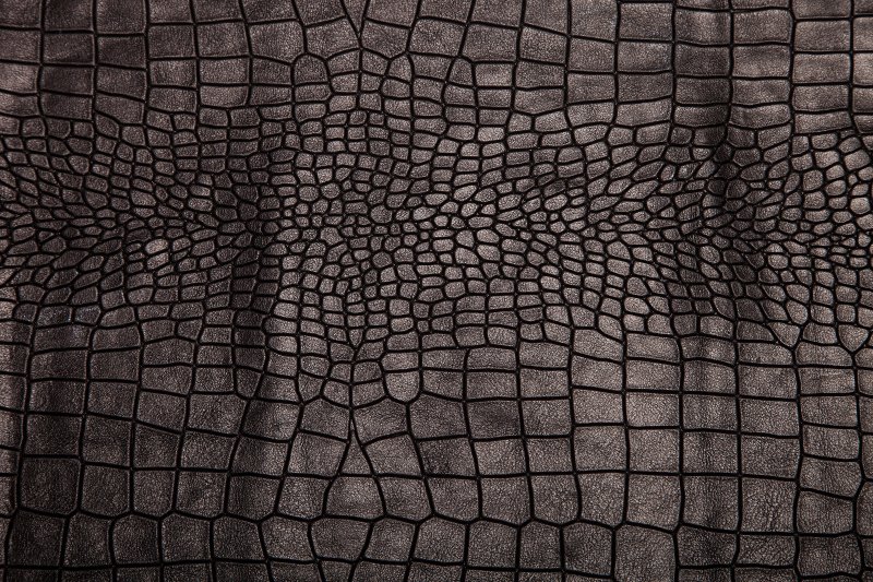 Крокодиловая кожа Альфа
