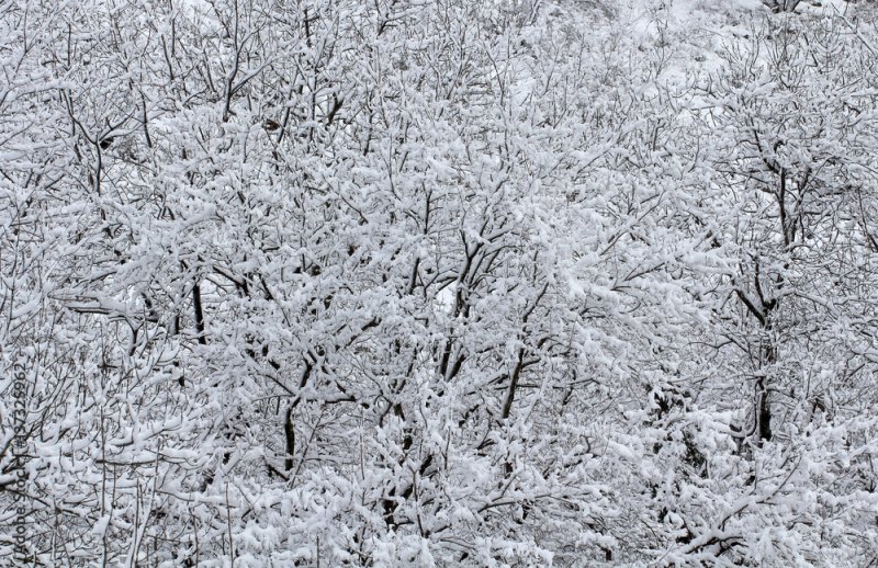 Зима текстура