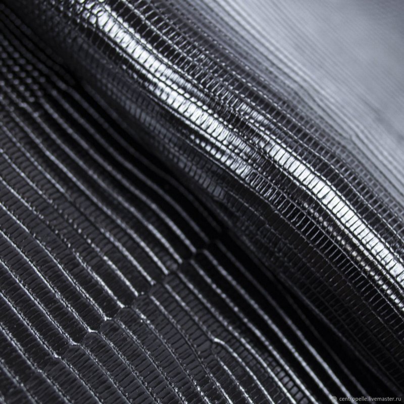 Кожа игуаны