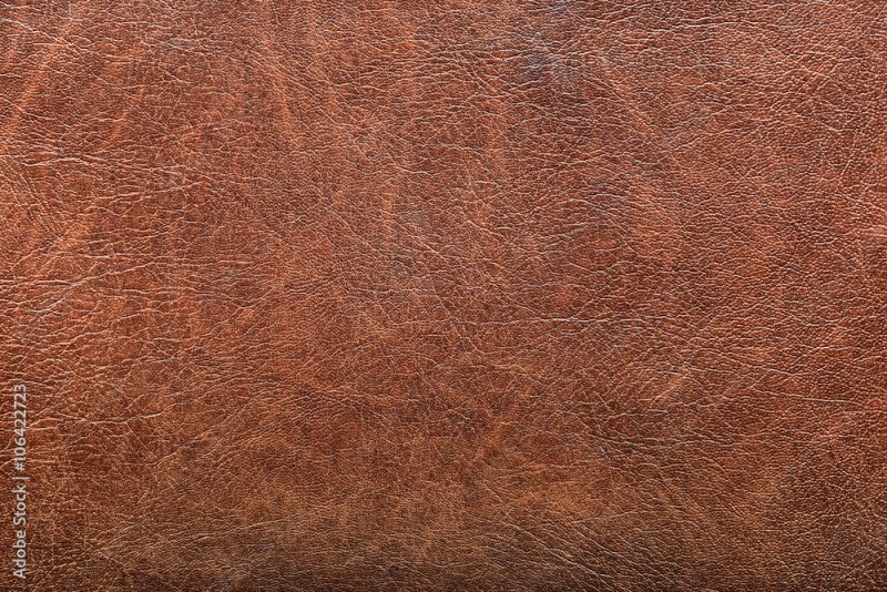 Текстура кожи