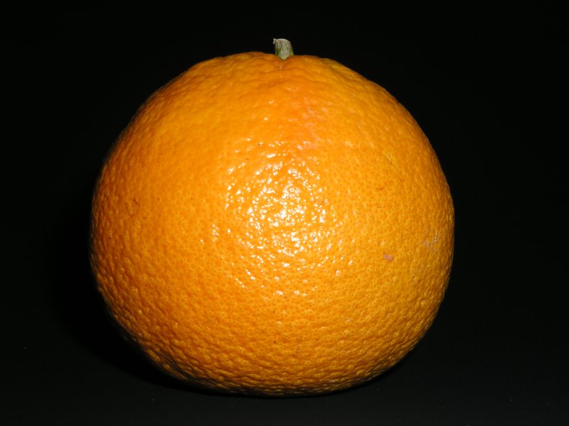 Кожура мандарина