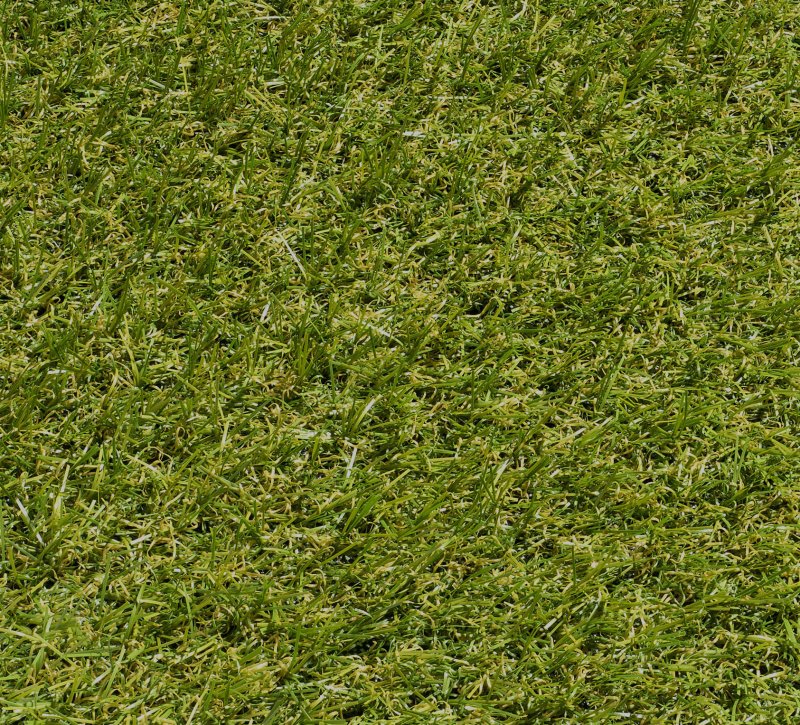 Фактура травы