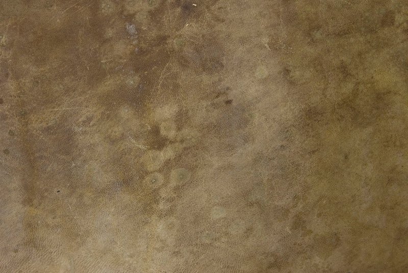 Старая кожа