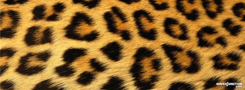 Тигровый леопард