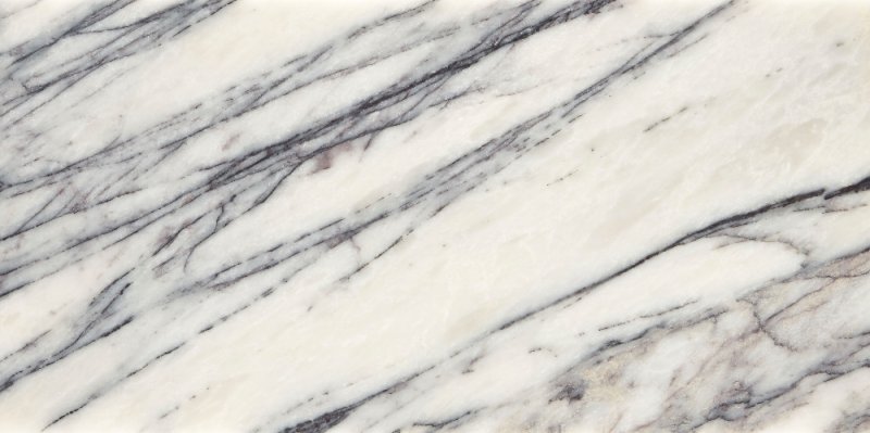 Calacatta Viola Marble