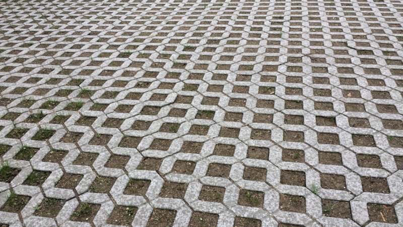 Экопарковка текстура бесшовная