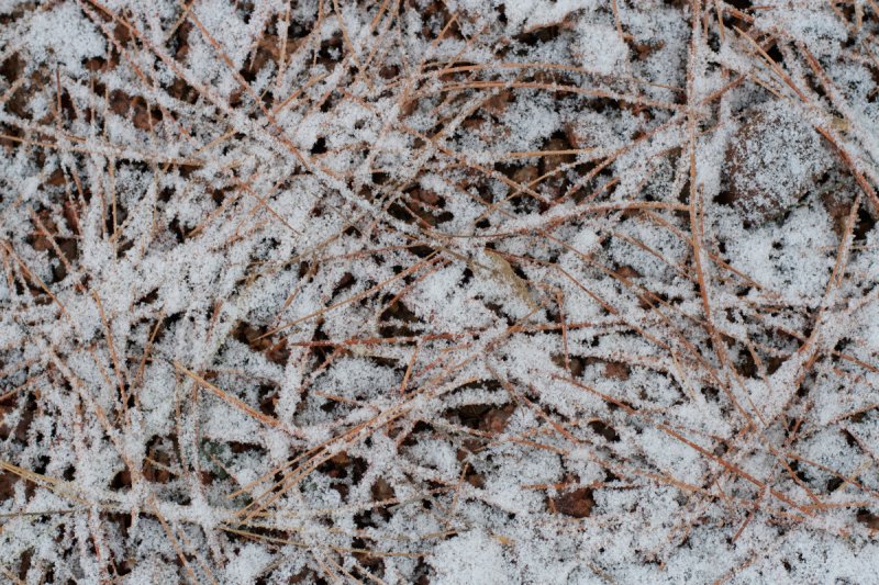 Зимняя текстура