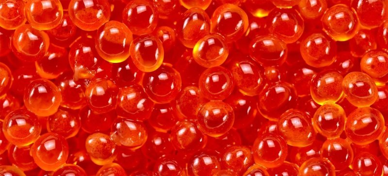 Красная икра