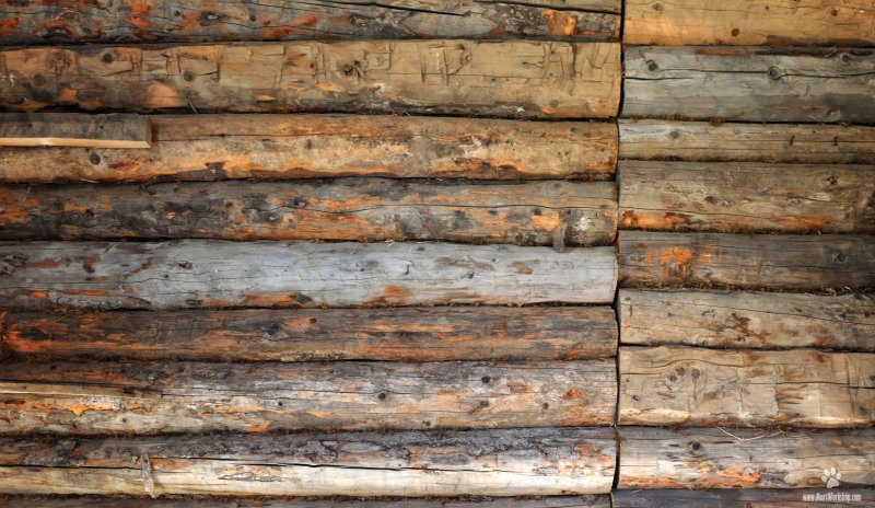 Бревенчатая стена