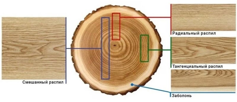 Радиальный и тангенциальный распил