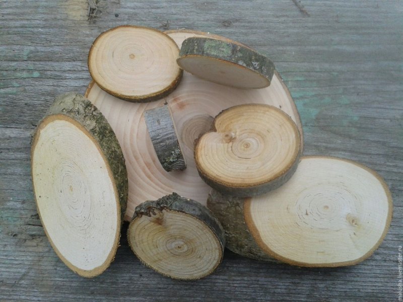 Древесина рябины