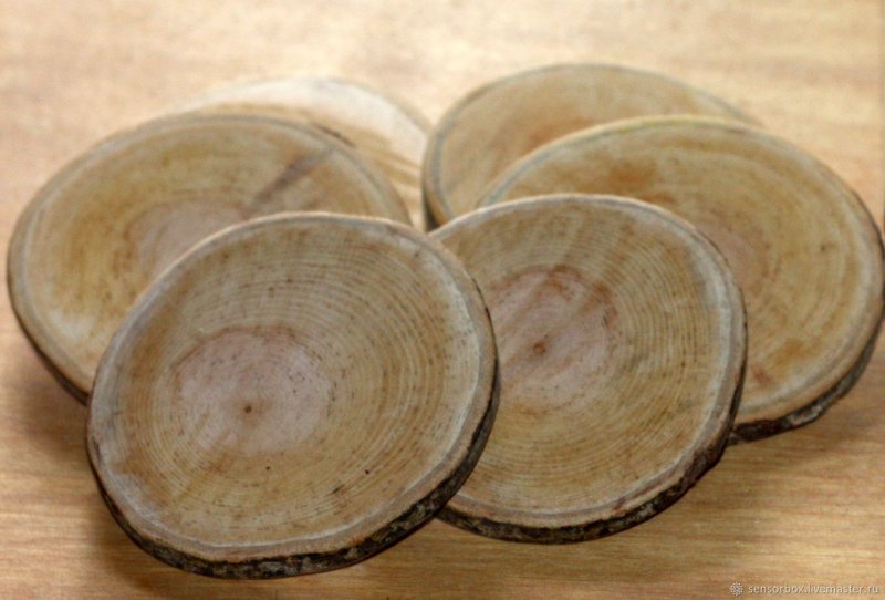Спилы рябины торцевые