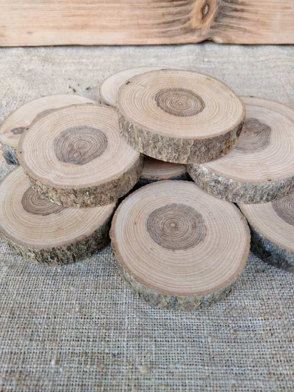 Спилы рябины торцевые