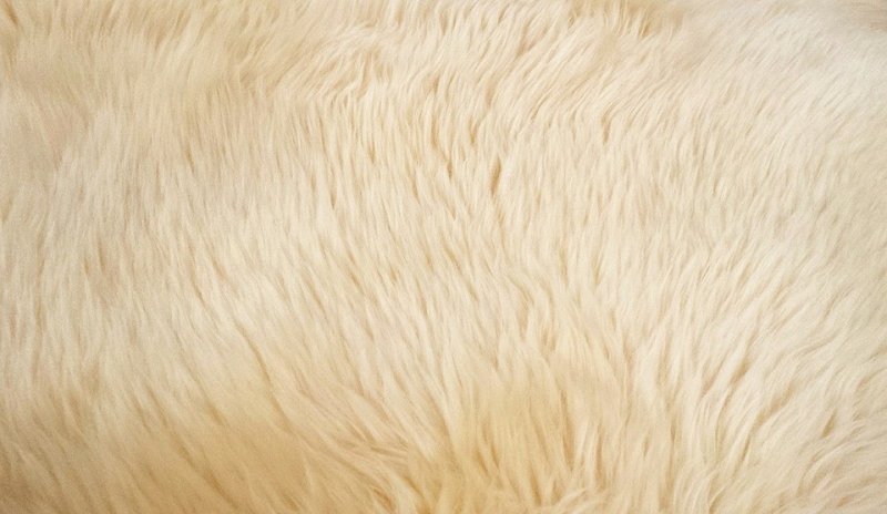 Фактура шерсти
