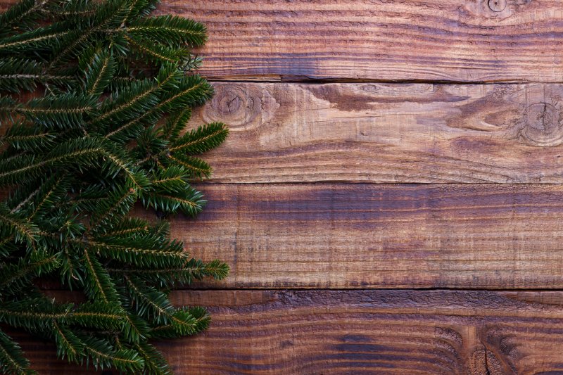 Хвоя текстура