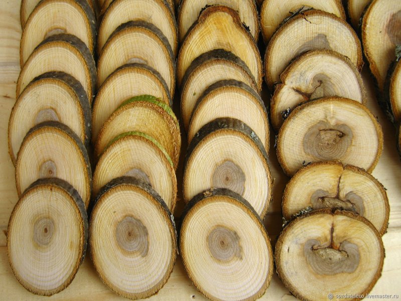 Из спилов яблони