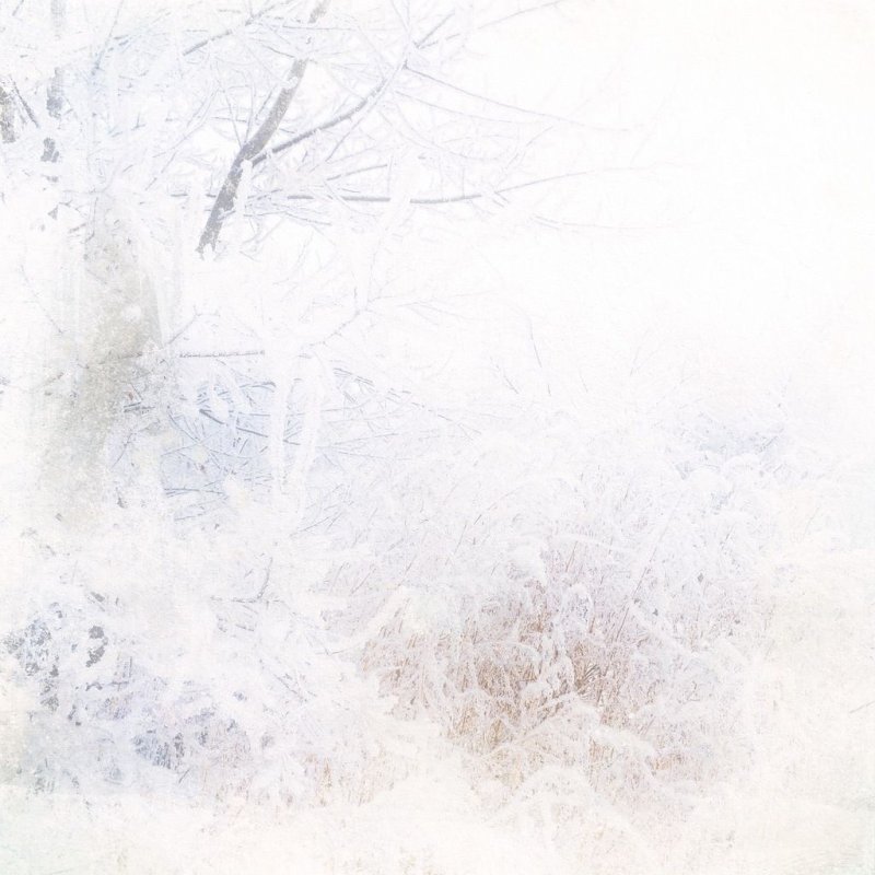 Фон зима акварель