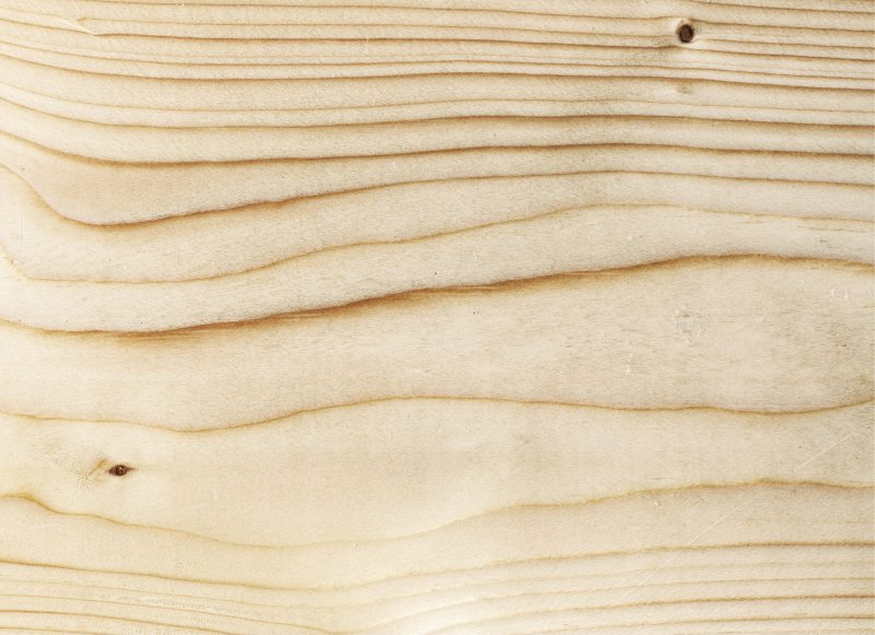 Фактура дерева