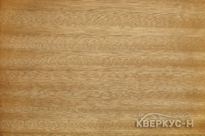 Classen дуб Гамильтон 28590