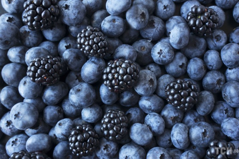 Черника ежевика