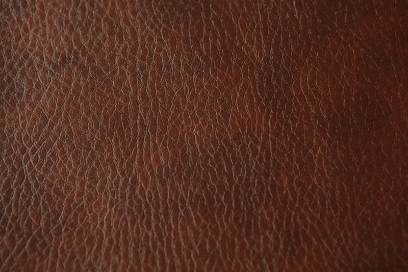 Текстура кожи