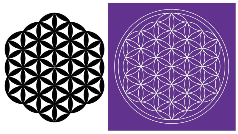 Цветок жизни символ