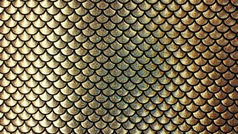 «Драконья „чешуя“» rjkmxeuf