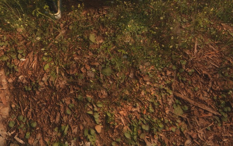 Текстура земли