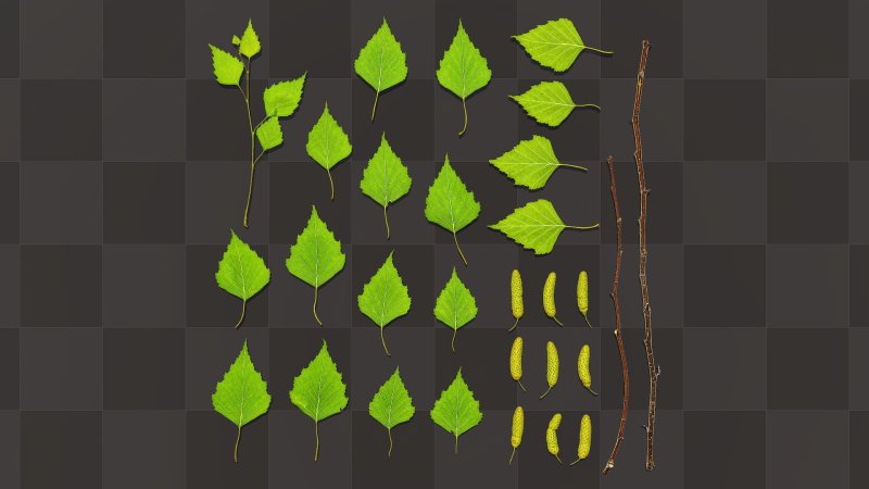 Березовые листья текстура