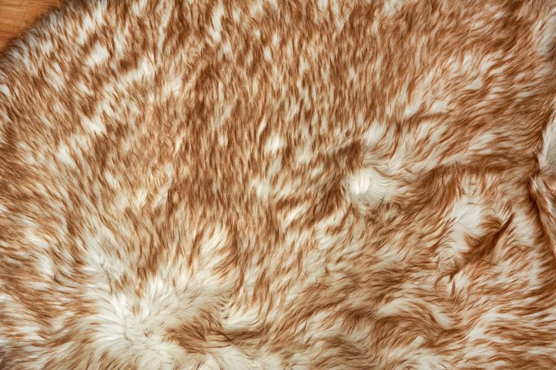 Овечья шкура текстура