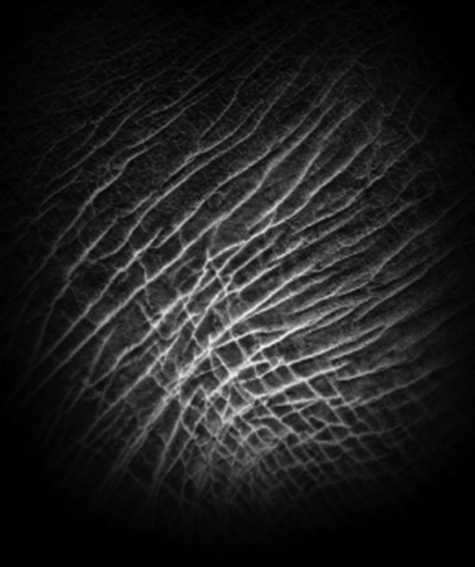 Альфа кожи для Zbrush