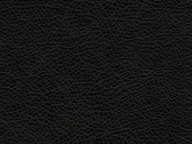 Черная экокожа +т-Leather Black (матовый серный Пегас)