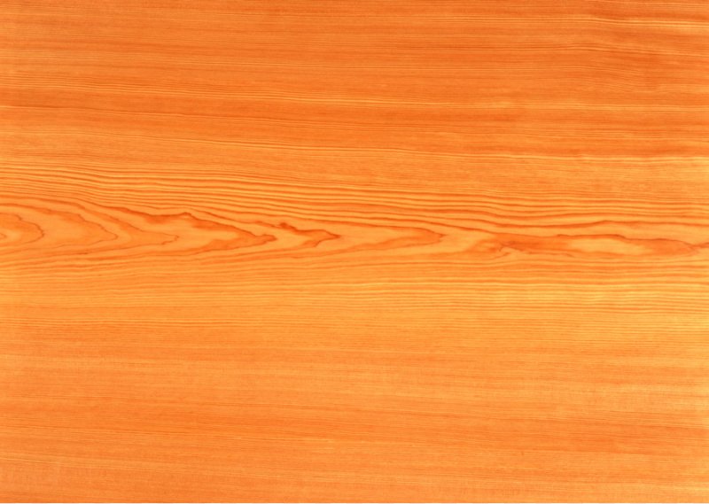 Текстура древесины