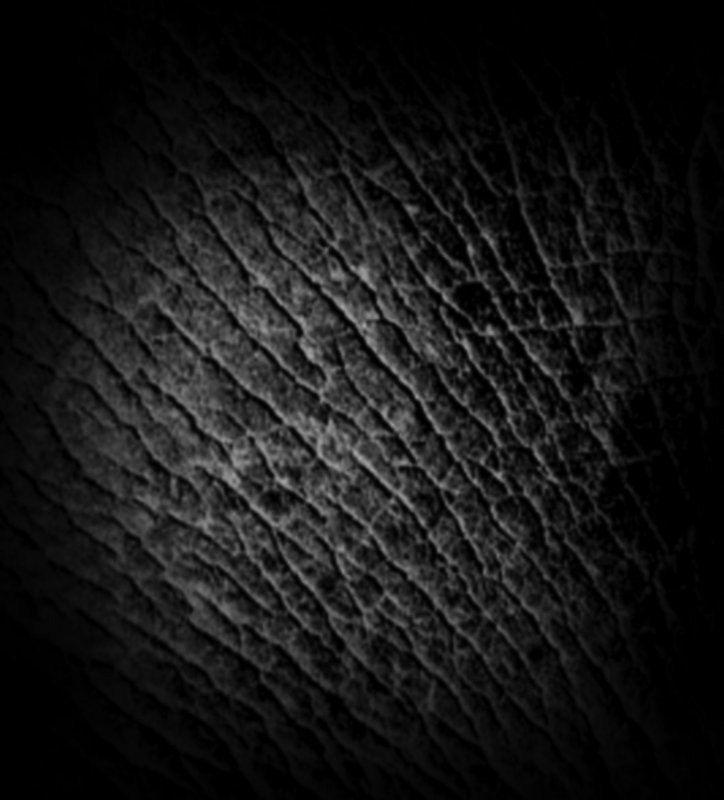 Альфа кожи для Zbrush