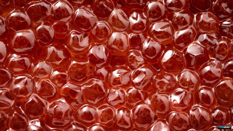 Красная икра