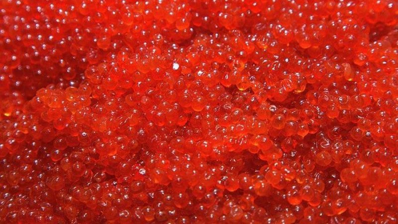 Красная икра