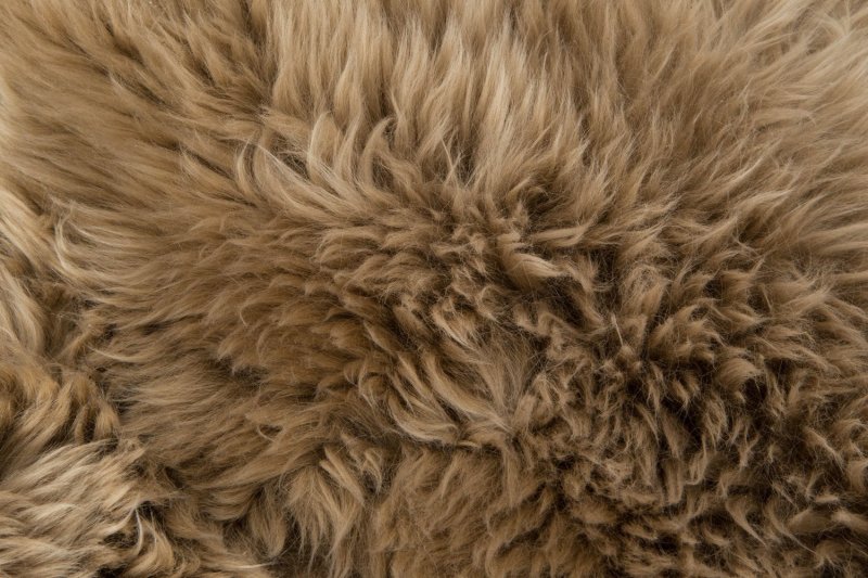 Текстура шерсти