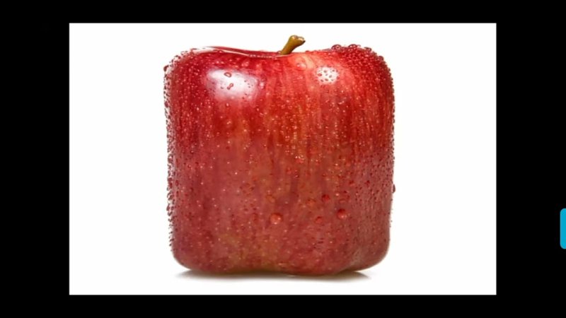 Квадратные фрукты и овощи