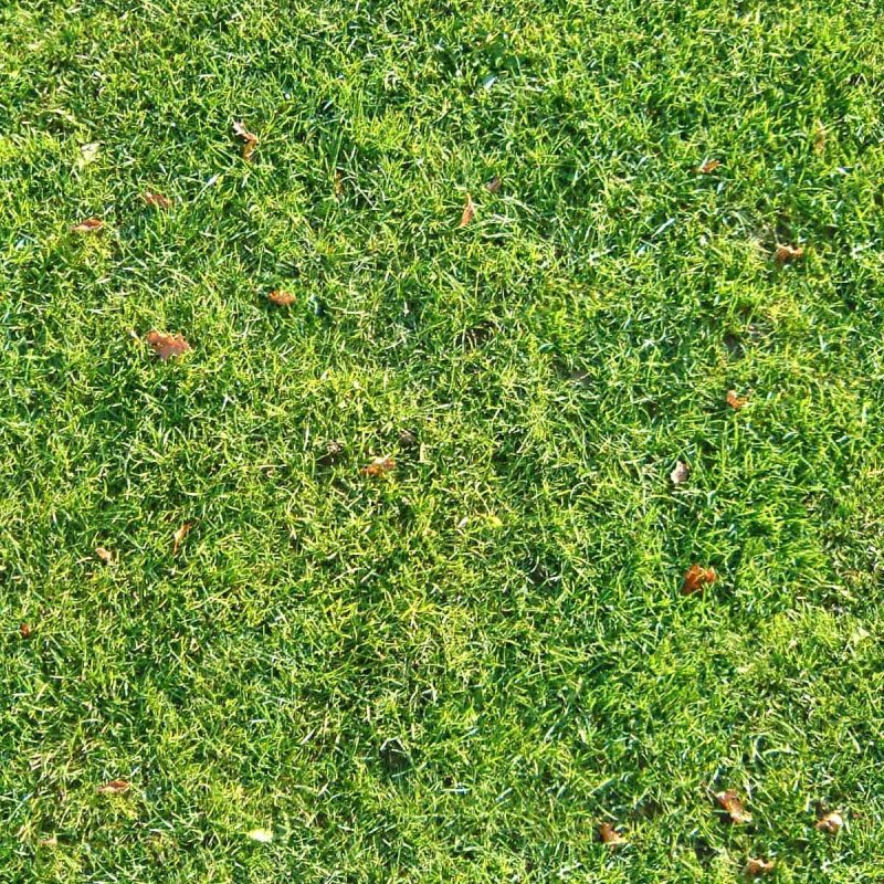 Текстура травы для Юнити