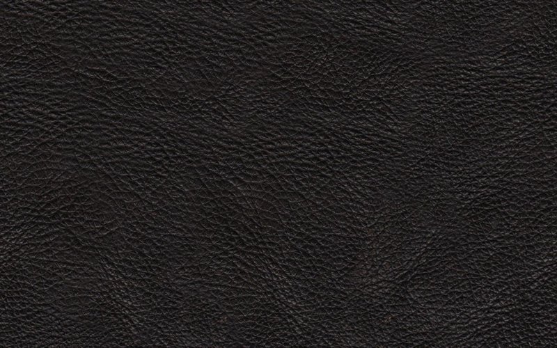 Текстура кожи