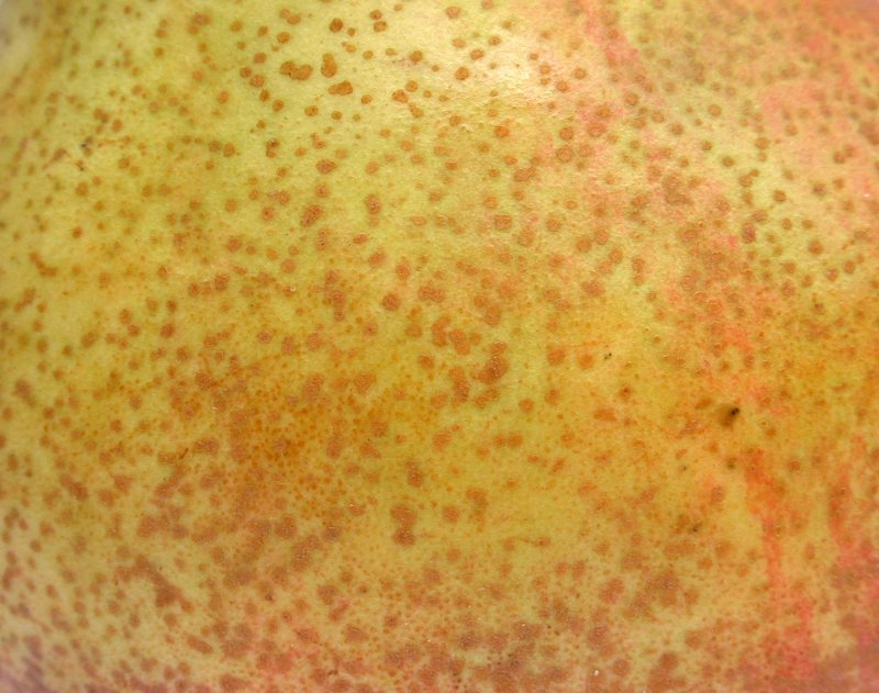 Фактура груши