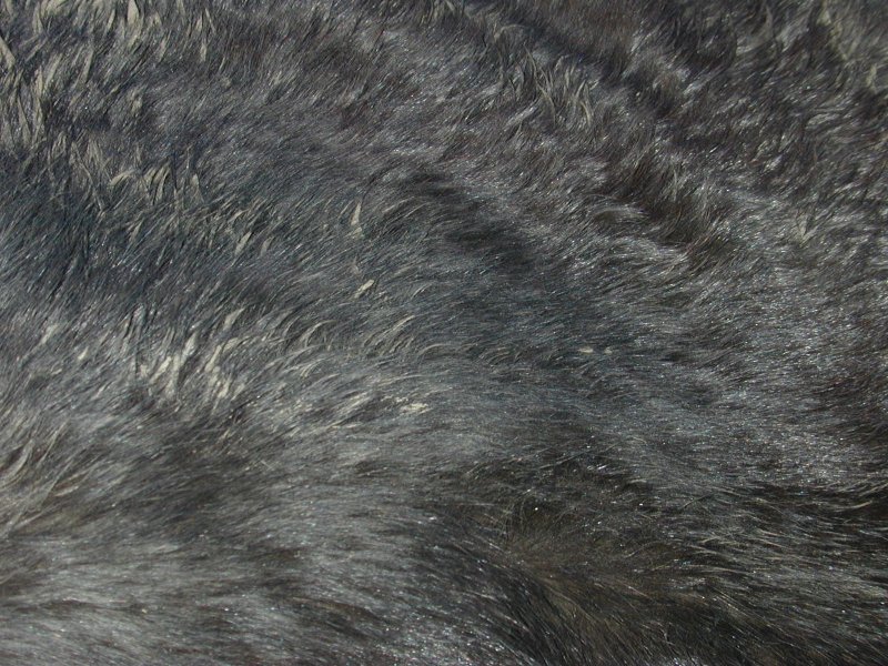 Кошачья шерсть