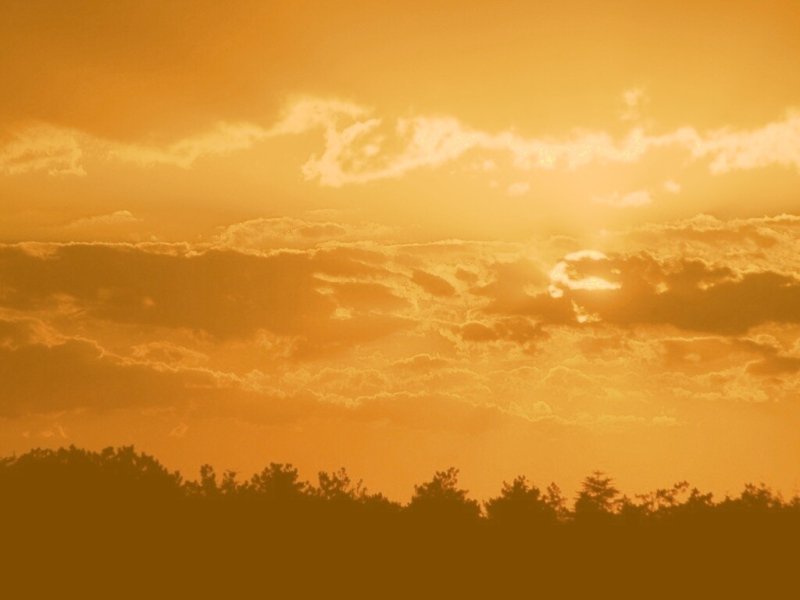 Светло желтое небо