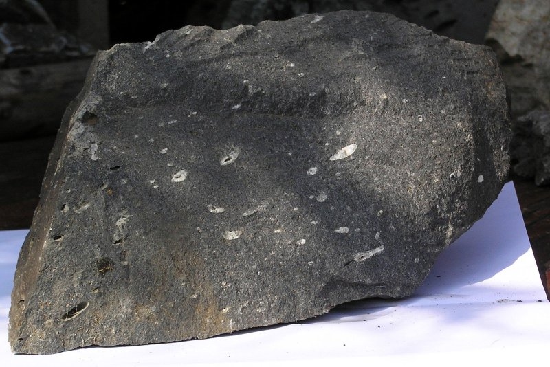 Афировый базальт